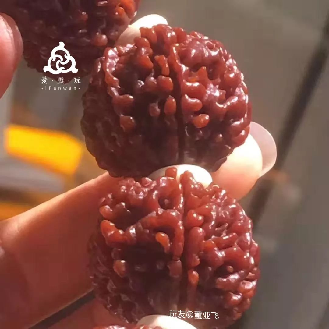 菩提盘出来的效果图_怎样盘菩提_菩提盘玩后的效果图片