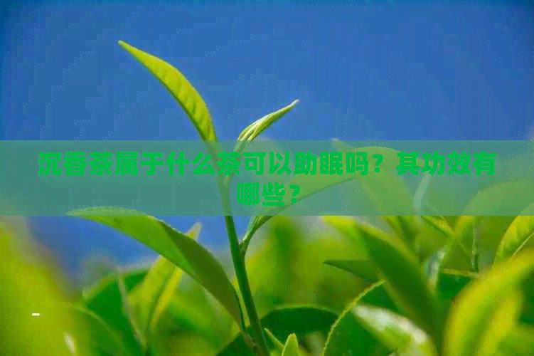 沉香叶茶_沉香叶茶怎么制作_沉香叶茶属于什么茶