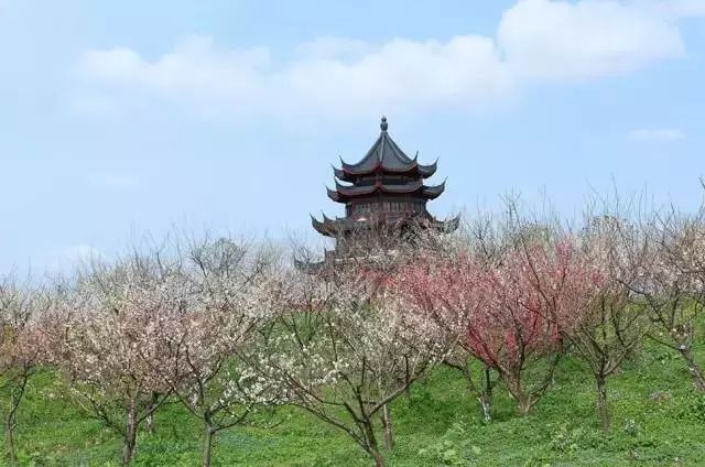 不锈钢梅花管图片_不锈钢梅花雕塑_雕花不锈钢板