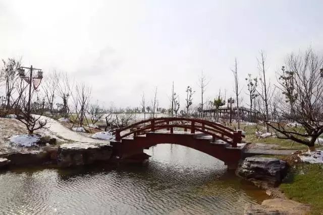 雕花不锈钢板_不锈钢梅花管图片_不锈钢梅花雕塑